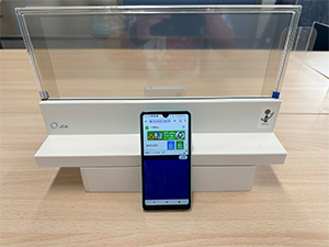 Case画像