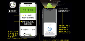 Case画像