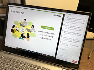 Case画像
