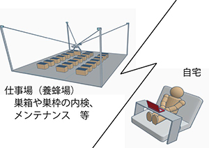Case画像