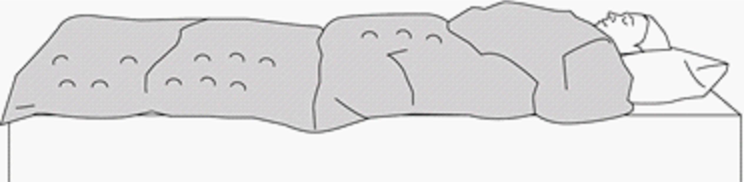 Case画像