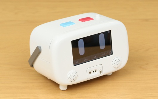 Case画像