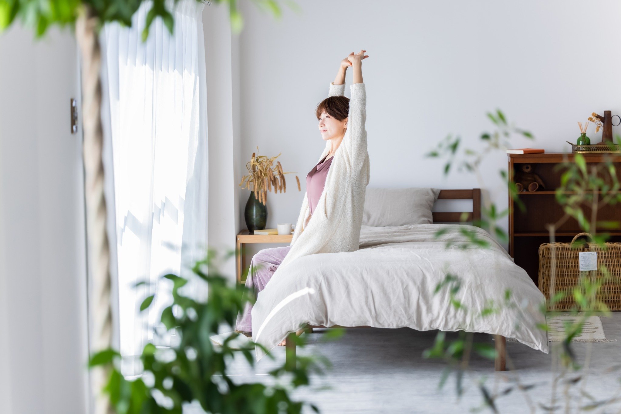 スマート電動カーテンレール「アンコール２」（仮称）