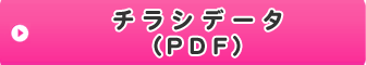 チラシデータ