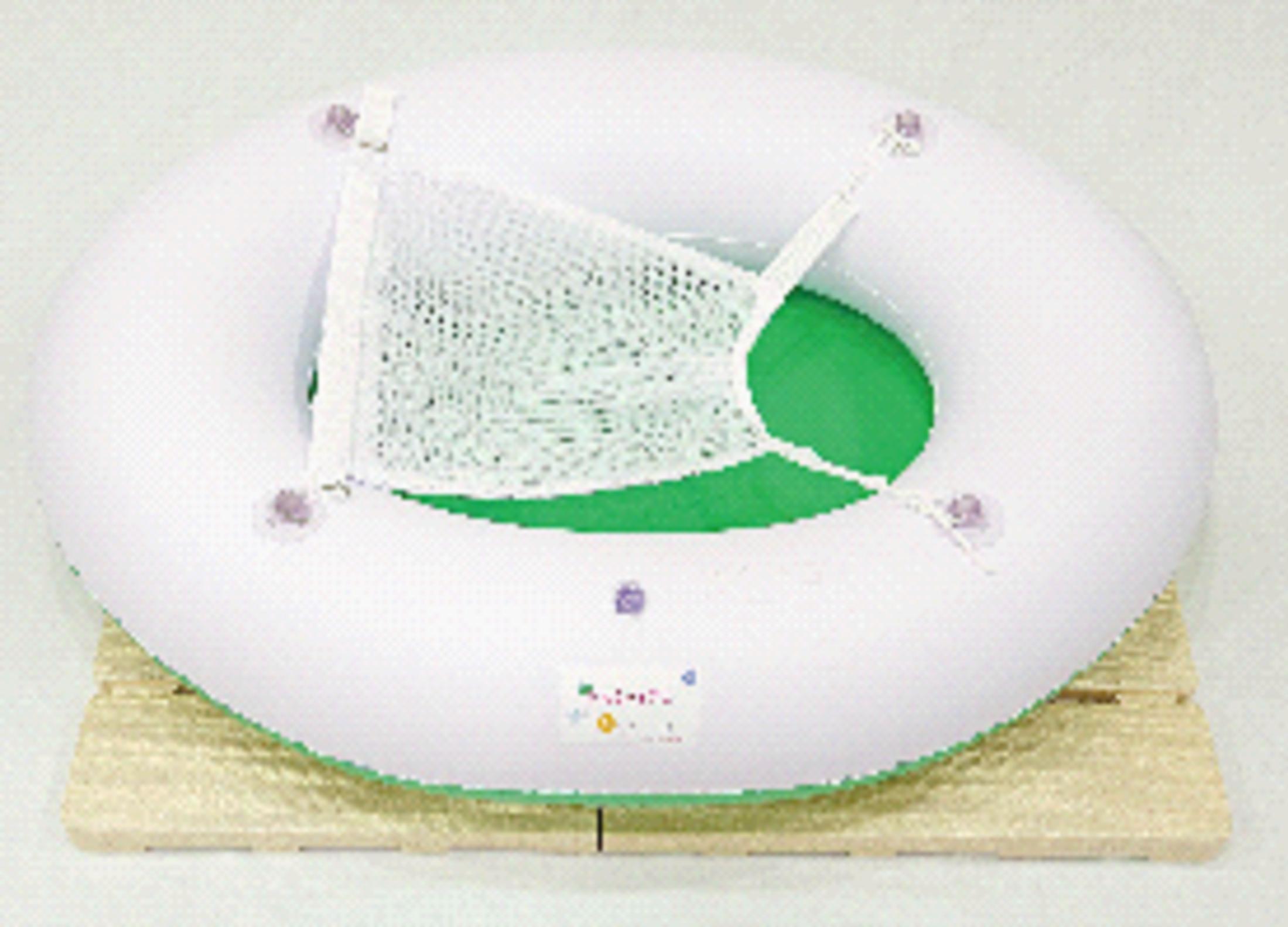 30-F08-01画像